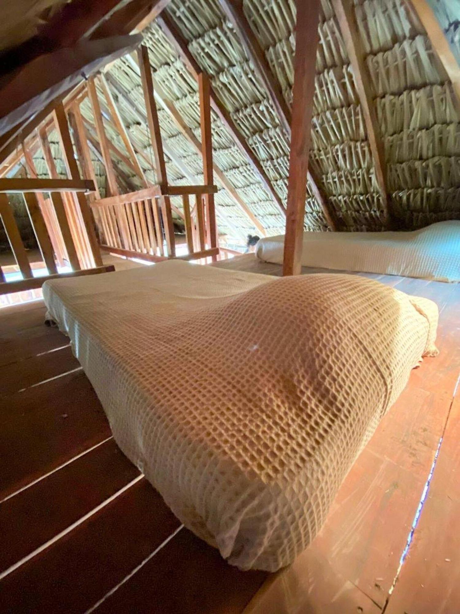 Casa Tropicana El Cuyo Eksteriør bilde